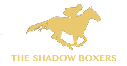 shadow boxers logo 2018